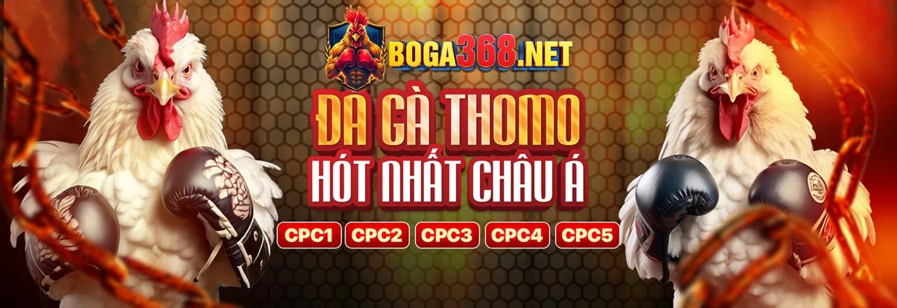 Đá gà trực tuyến 56wim với các trận đấu kịch tính